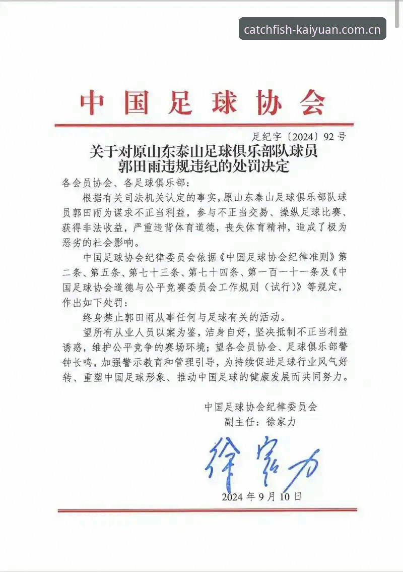 中国足协第三批禁足名单深度分析:17人终身禁赛背后的足球生态重构